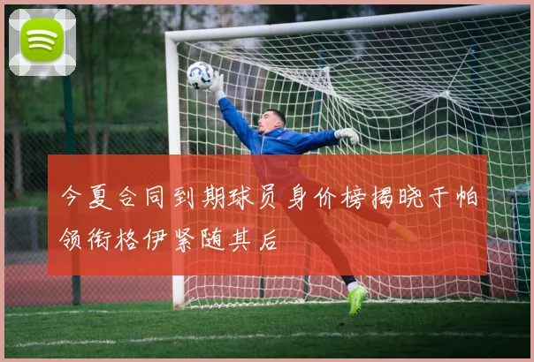 今夏合同到期球员身价榜揭晓于帕领衔格伊紧随其后