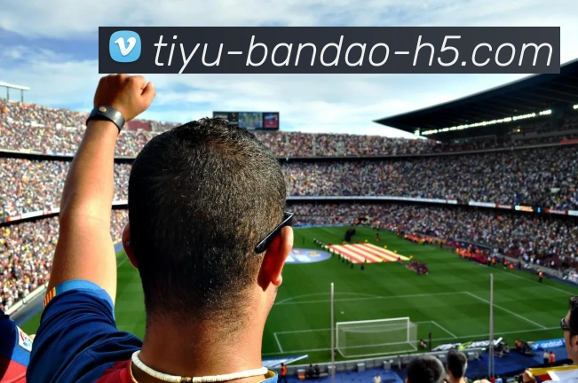 半岛体育平台生态图