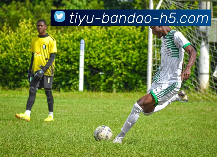 半岛体育全站App